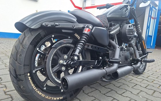 Gebrauchtmotorrad Harley-Davidson Sportster XL 883 - Bild 3