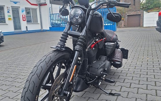 Gebrauchtmotorrad Harley-Davidson Sportster XL 883 - Bild 9