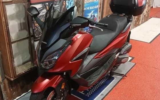 Gebrauchtmotorrad Honda Forza 125 - Bild 4