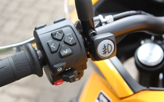 Gebrauchtmotorrad Triumph Tiger Sport 800 - Bild 12