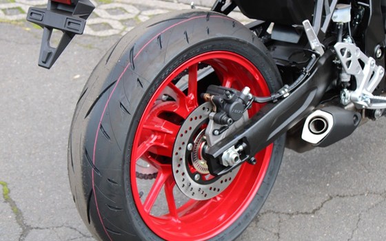 Neufahrzeug Suzuki GSX-8S - Bild 6