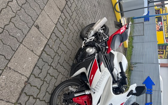 Gebrauchtmotorrad Benelli BN 302 R - Bild 3