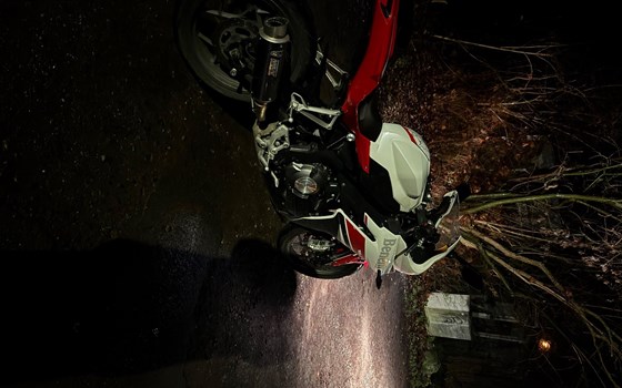 Gebrauchtmotorrad Benelli BN 302 R - Bild 6