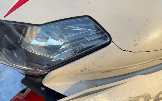 Gebrauchtmotorrad Benelli BN 302 R - Bild 7