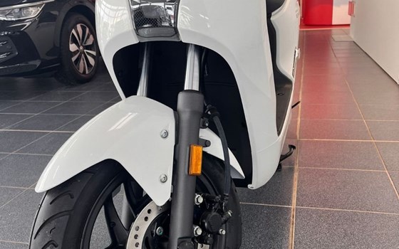 Gebrauchtmotorrad Honda EM1 e - Bild 9