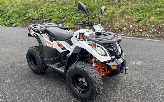 Neufahrzeug Kayo A 300 - Bild 2