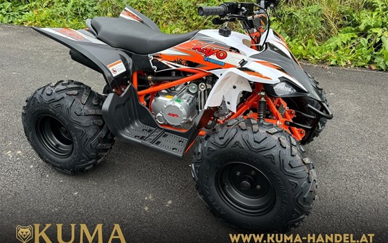 Neufahrzeug Kayo AT 125 - Bild 1