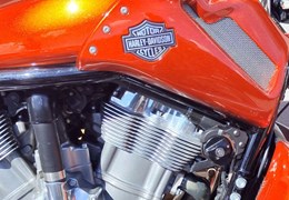 Gebrauchte Harley-Davidson V-Rod Muscle VRSCF