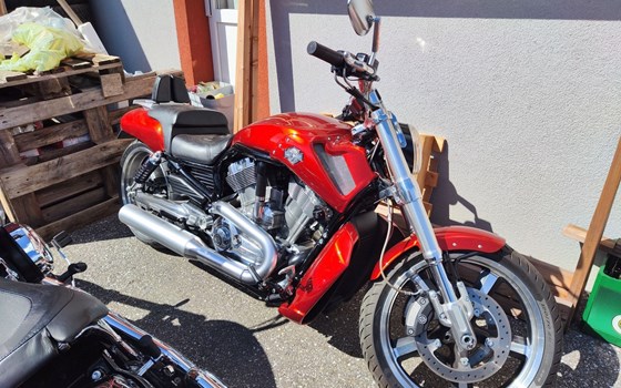 Gebrauchtmotorrad Harley-Davidson V-Rod Muscle VRSCF - Bild 2