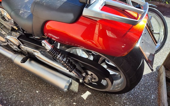 Gebrauchtmotorrad Harley-Davidson V-Rod Muscle VRSCF - Bild 3