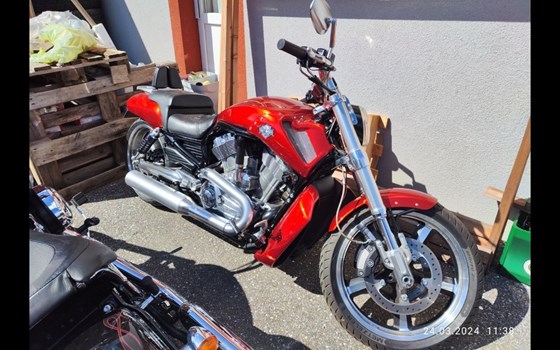 Gebrauchtmotorrad Harley-Davidson V-Rod Muscle VRSCF - Bild 5