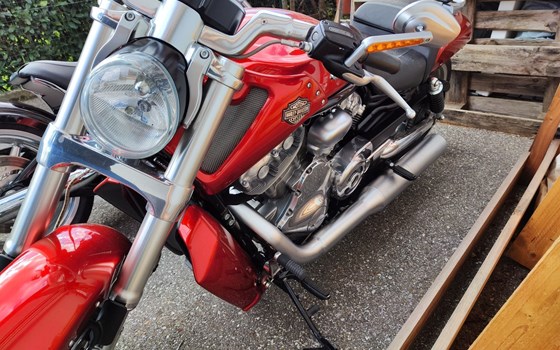 Gebrauchtmotorrad Harley-Davidson V-Rod Muscle VRSCF - Bild 5