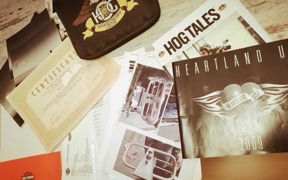 Gebrauchtmotorrad Harley-Davidson V-Rod Muscle VRSCF - Bild 6