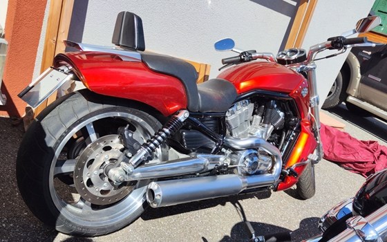 Gebrauchtmotorrad Harley-Davidson V-Rod Muscle VRSCF - Bild 6