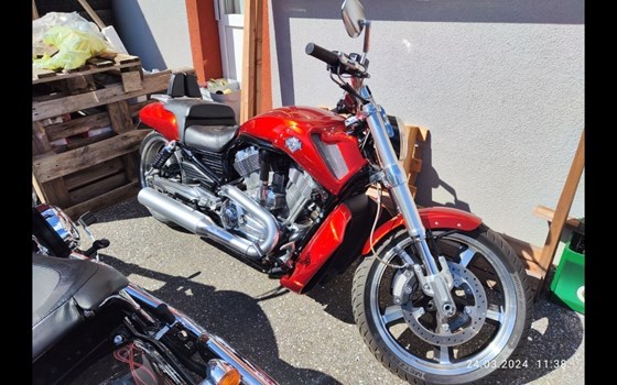 Gebrauchtmotorrad Harley-Davidson V-Rod Muscle VRSCF - Bild 7