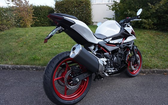 Offerta Kawasaki Z 500 SE - Immagine 4