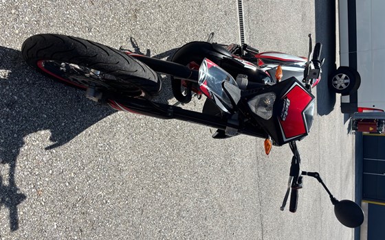 Gebrauchtmotorrad Beta RR 50 Motard Track - Bild 5