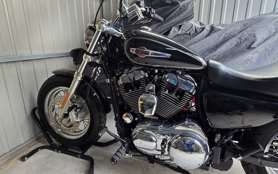 Gebrauchtmotorrad Harley-Davidson Sportster XL 1200C Custom - Bild 1