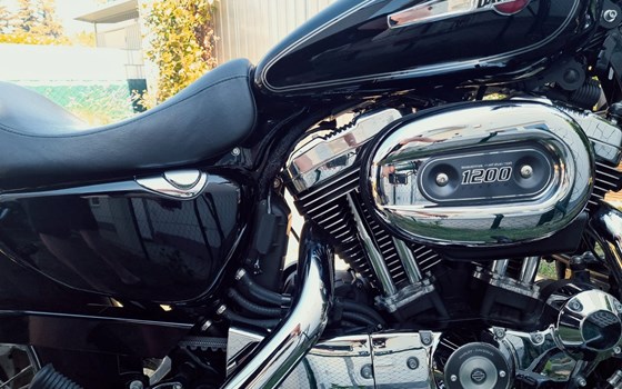 Gebrauchtmotorrad Harley-Davidson Sportster XL 1200C Custom - Bild 6