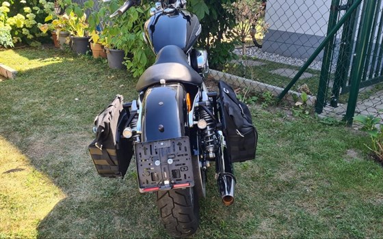 Gebrauchtmotorrad Harley-Davidson Sportster XL 1200C Custom - Bild 9