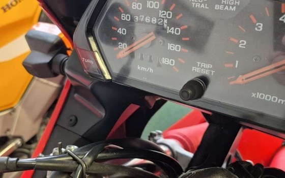 Gebrauchtmotorrad Honda NX 500 Dominator - Bild 1