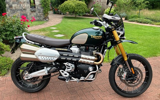 Gebrauchtmotorrad Triumph Scrambler 1200 Steve McQueen Edition - Bild 1