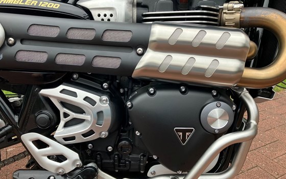 Gebrauchtmotorrad Triumph Scrambler 1200 Steve McQueen Edition - Bild 3