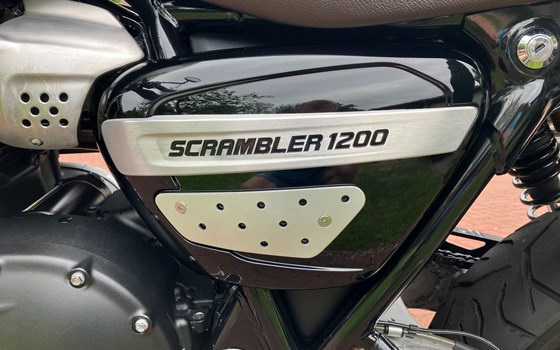 Gebrauchtmotorrad Triumph Scrambler 1200 Steve McQueen Edition - Bild 5