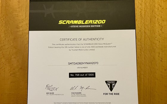 Gebrauchtmotorrad Triumph Scrambler 1200 Steve McQueen Edition - Bild 9