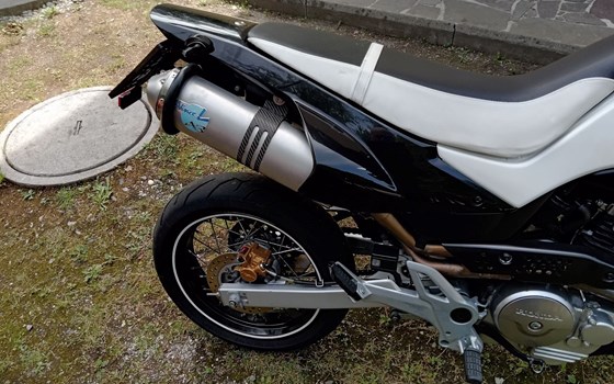 Gebrauchtmotorrad Honda FMX650 - Bild 3