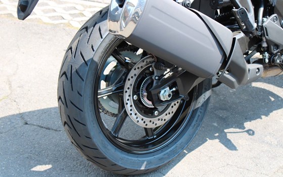 Neufahrzeug Suzuki V-Strom 800 - Bild 6