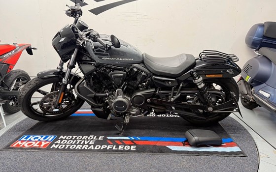 Gebrauchtmotorrad Harley-Davidson Nightster - Bild 3