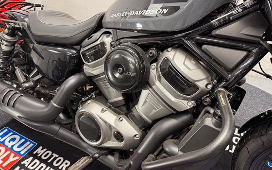 Gebrauchtmotorrad Harley-Davidson Nightster - Bild 8