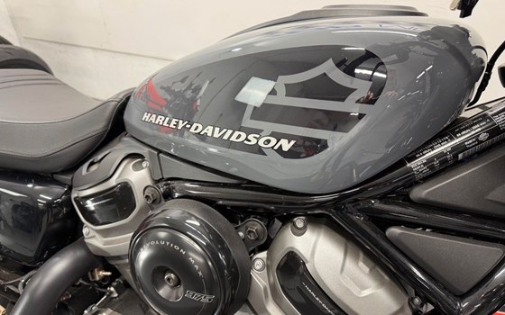 Gebrauchtmotorrad Harley-Davidson Nightster - Bild 9