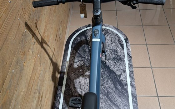 Neufahrzeug Winora Sinus - Bild 5