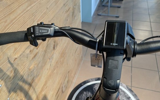 Neufahrzeug Winora Yakun - Bild 6