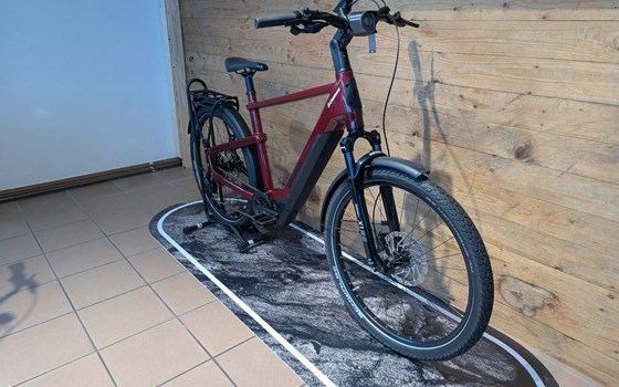 Neufahrzeug Winora Yakun - Bild 2