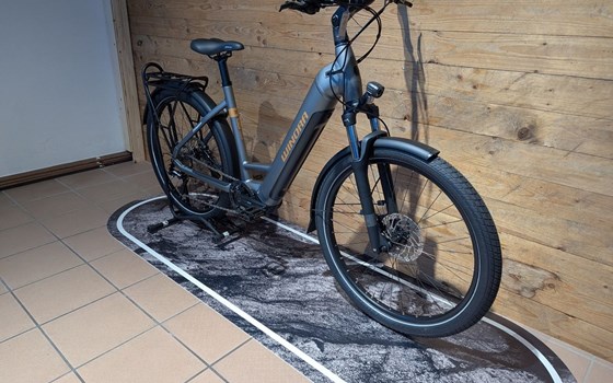 Neufahrzeug Winora Yucatan - Bild 2