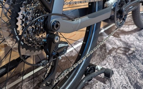 Neufahrzeug Winora Yucatan - Bild 5