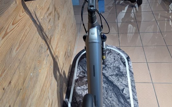 Neufahrzeug Winora Yucatan - Bild 6