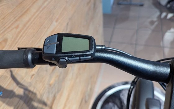 Neufahrzeug Winora Yucatan - Bild 7