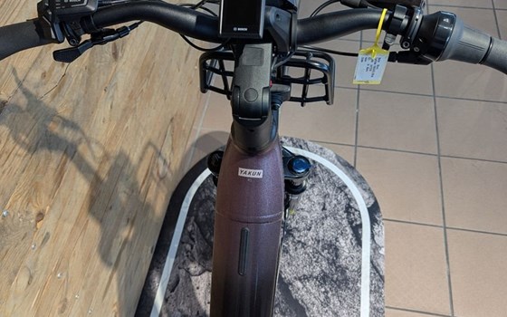 Neufahrzeug Winora Yakun - Bild 5