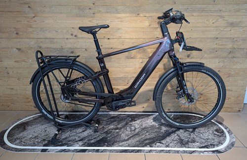 Neumotorrad Winora Yakun