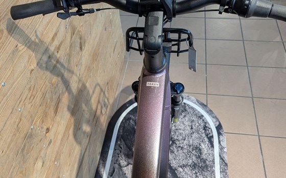 Neufahrzeug Winora Yakun - Bild 5