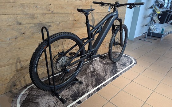 Neufahrzeug Raymon Trailray 170 Pro - Bild 3