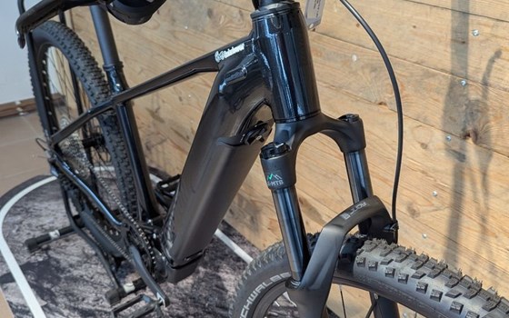 Neufahrzeug Raymon Hardray Ultra - Bild 7