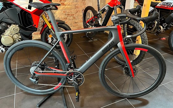 Neufahrzeug Ducati Futa - Bild 1