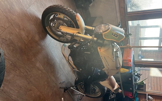 Gebrauchtmotorrad Buell S1 Lightning - Bild 2