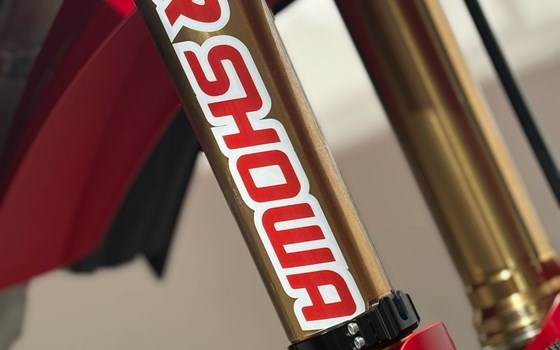 Neufahrzeug Ducati Desmo450 MX Factory - Bild 5