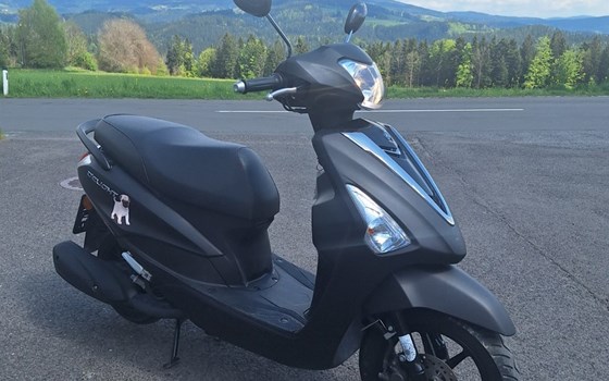 Gebrauchtmotorrad Yamaha D'elight - Bild 2
